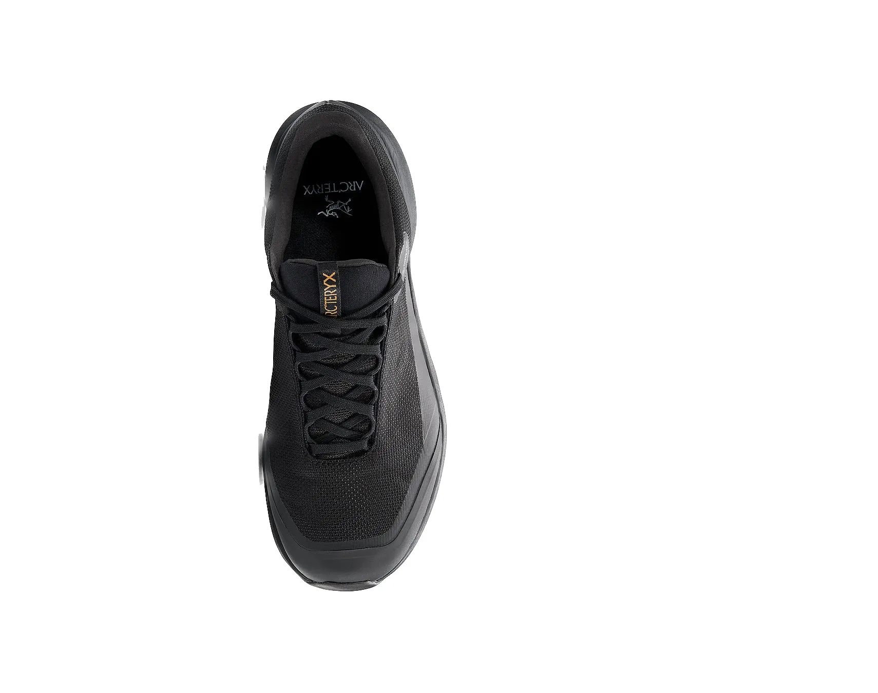 Arc'teryx Women's Aerios GTX Shoe