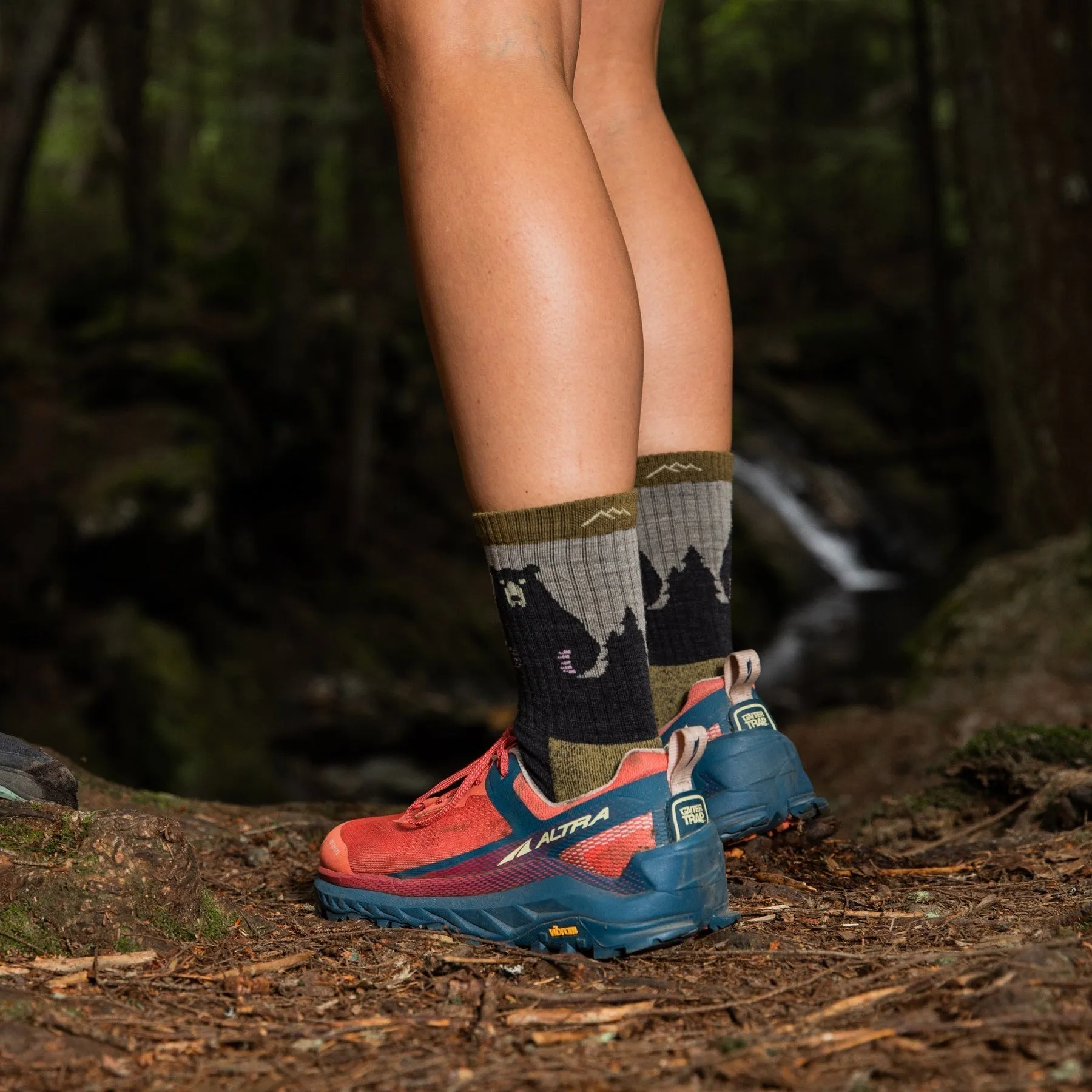 Darn Tough Women's Bear Town Micro Crew Socks